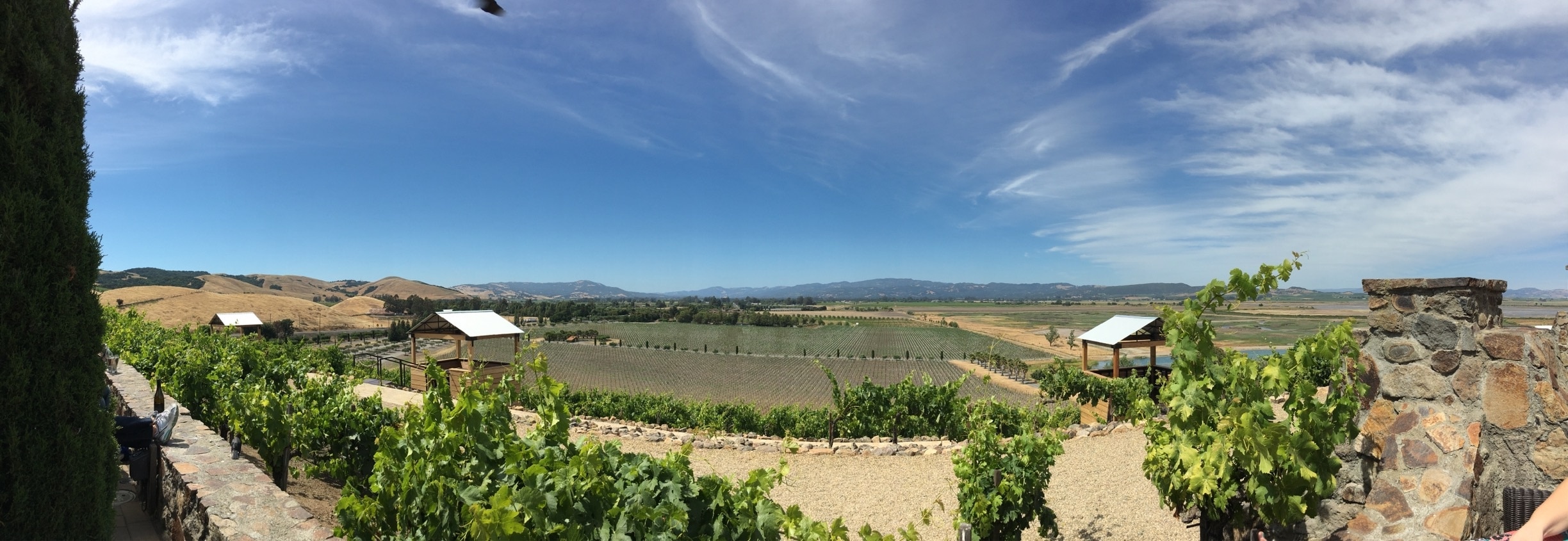 Sonoma, CA Vacation Rentals house rentals & more Vrbo