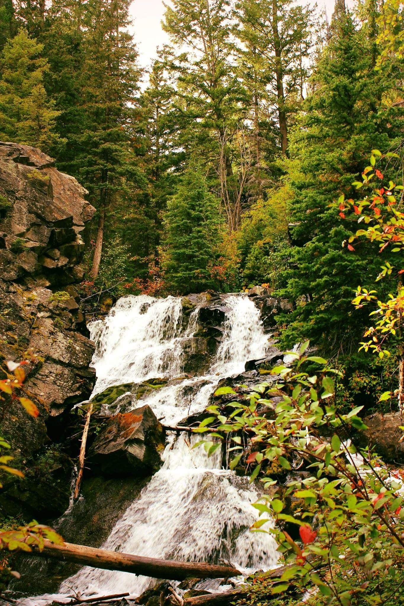 Lost Creek Waterfall 