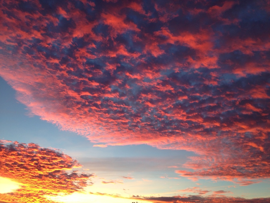 woke up to this one morning. could be anywhere, but it was the sky right outside my living room window #goldenhour #sunrise