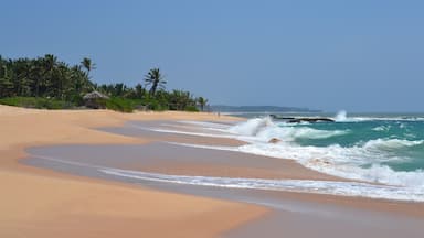 #LifeAtExpedia Deserted Beach in Sry Lanka