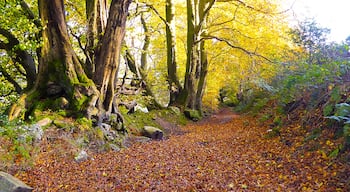 Colourful autumn walk 🍁