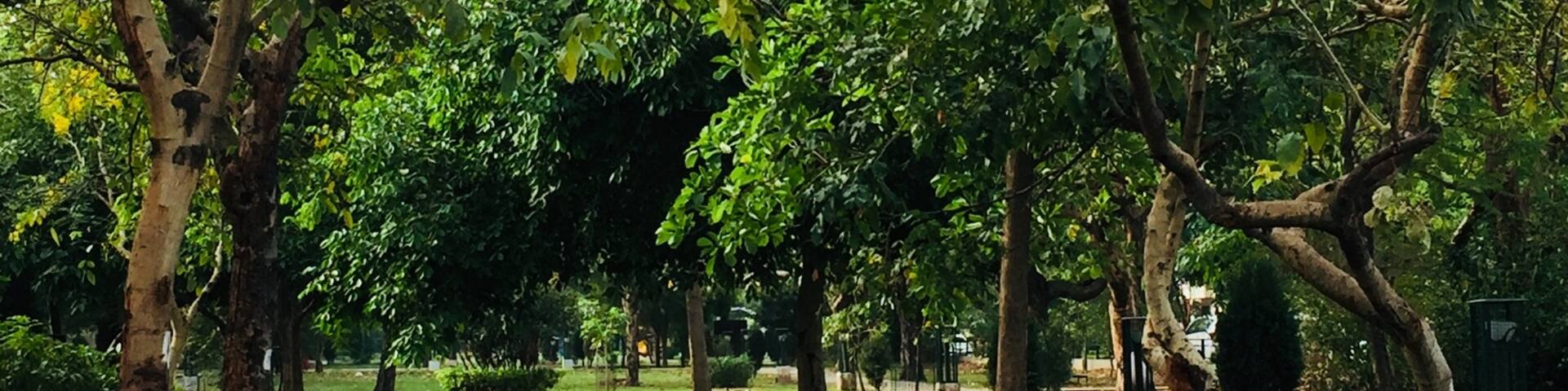 The park in sector 8 at 7 in the morning!!😍😍