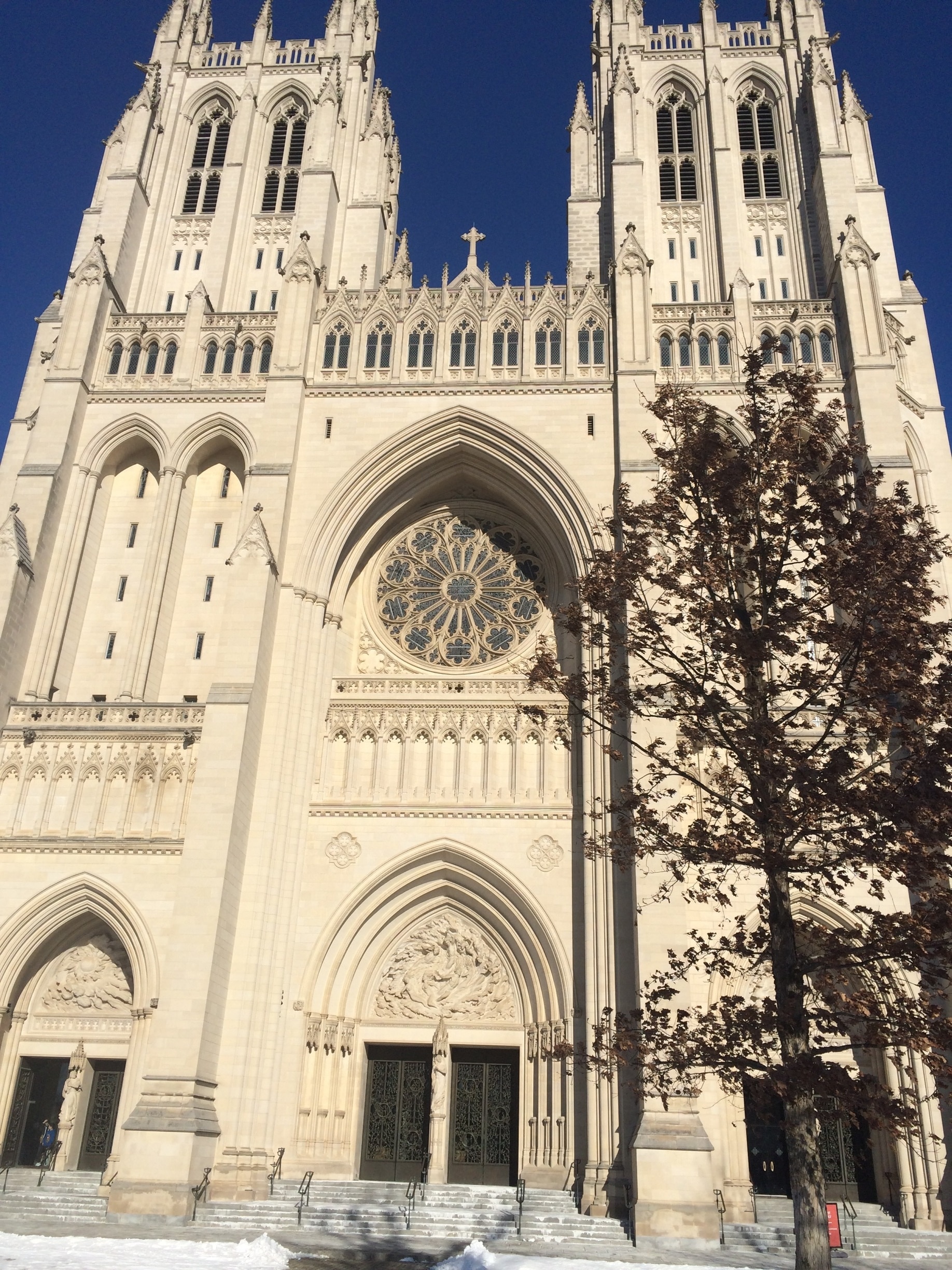 The Bible in DC: The National Cathedral