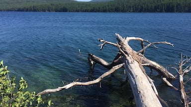 McGregor lake, Montana