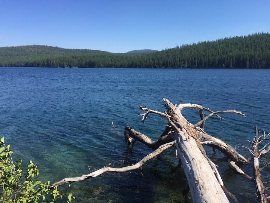 McGregor lake, Montana