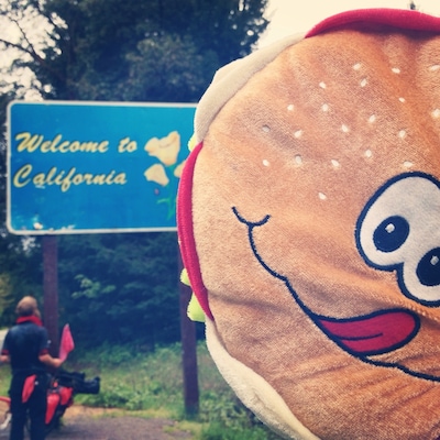 Roadside discovery Hamburger welcomes you to California.
#biketour
#bellowwingstrangely