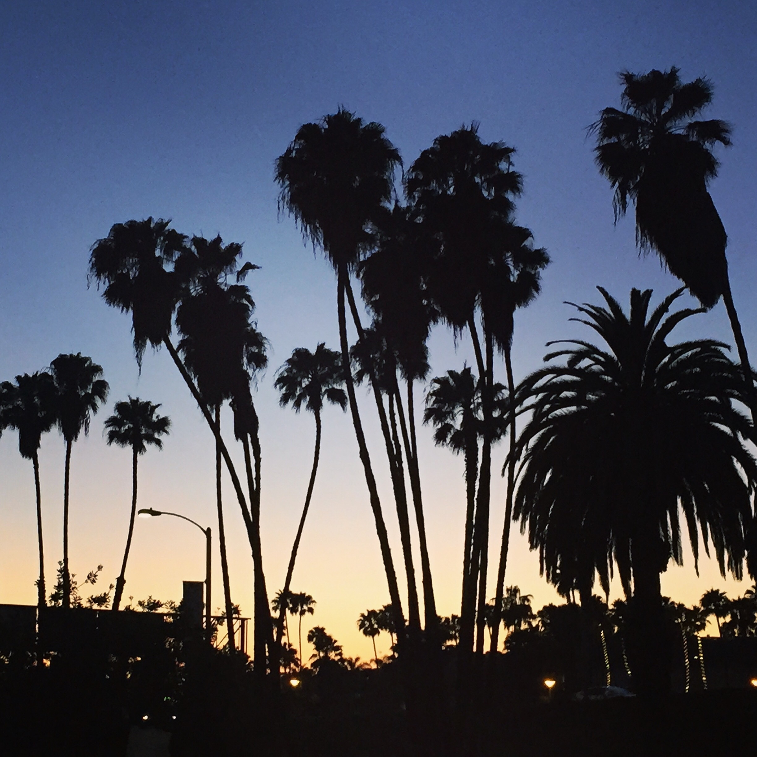 Nothing like a California sunset. 