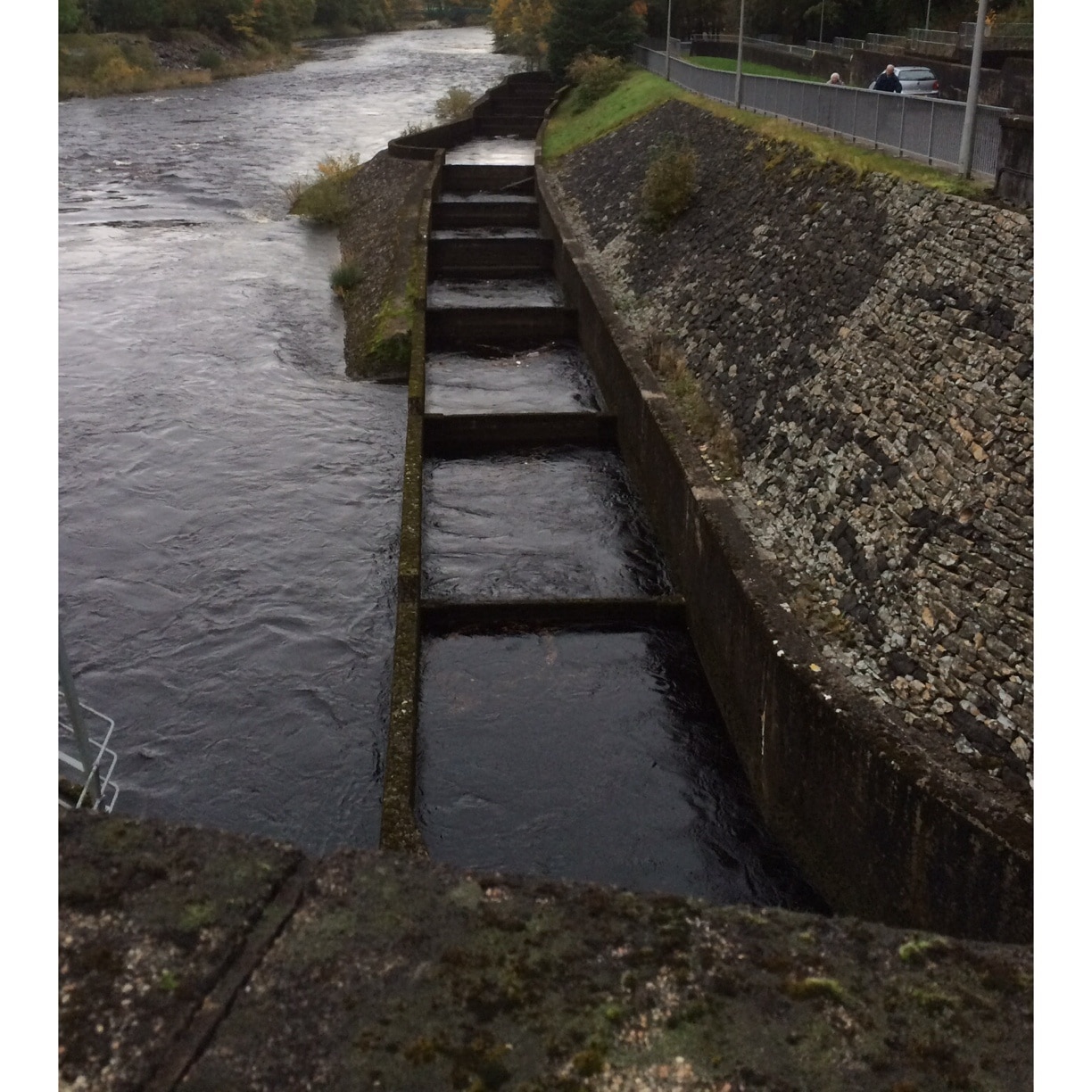 First part of Pitlochry fish ladder. This is built as a series of leaps to allow salmon swimming upstream to bypass the hydroelectric dam on the river. 