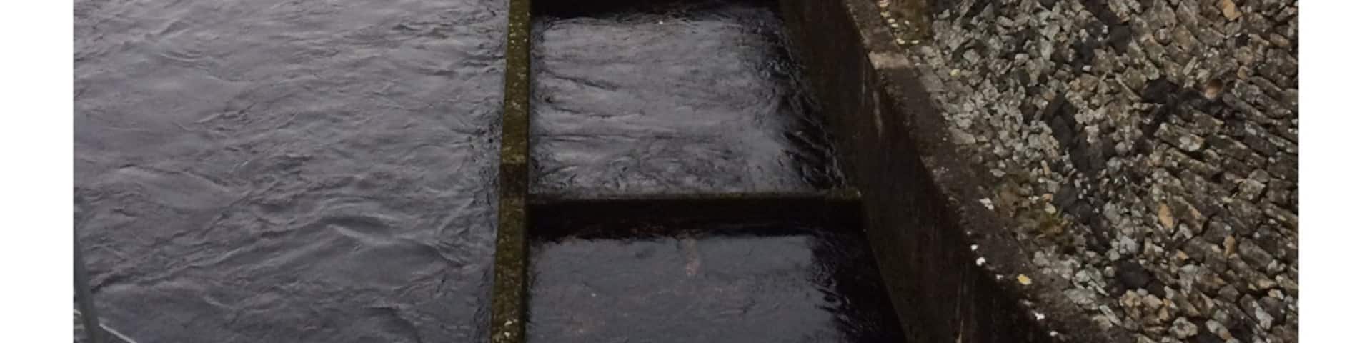 First part of Pitlochry fish ladder. This is built as a series of leaps to allow salmon swimming upstream to bypass the hydroelectric dam on the river.