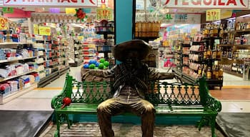 This life size statue sits outside a huge gift shop/pharmacy/liquor store in Isla Mujeres. I wonder how many people have posed with him? #mexico #islamujeres #lifesize #mexican #centroislamujeres #statue #giftshop #flashpackingbarbie #cnntravel #expediatravel #worldtrip2019 #hombre