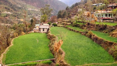 Beautiful view of idyllic village from the Monal guest house. Beautiful place to stay and chill if you are in this part. 