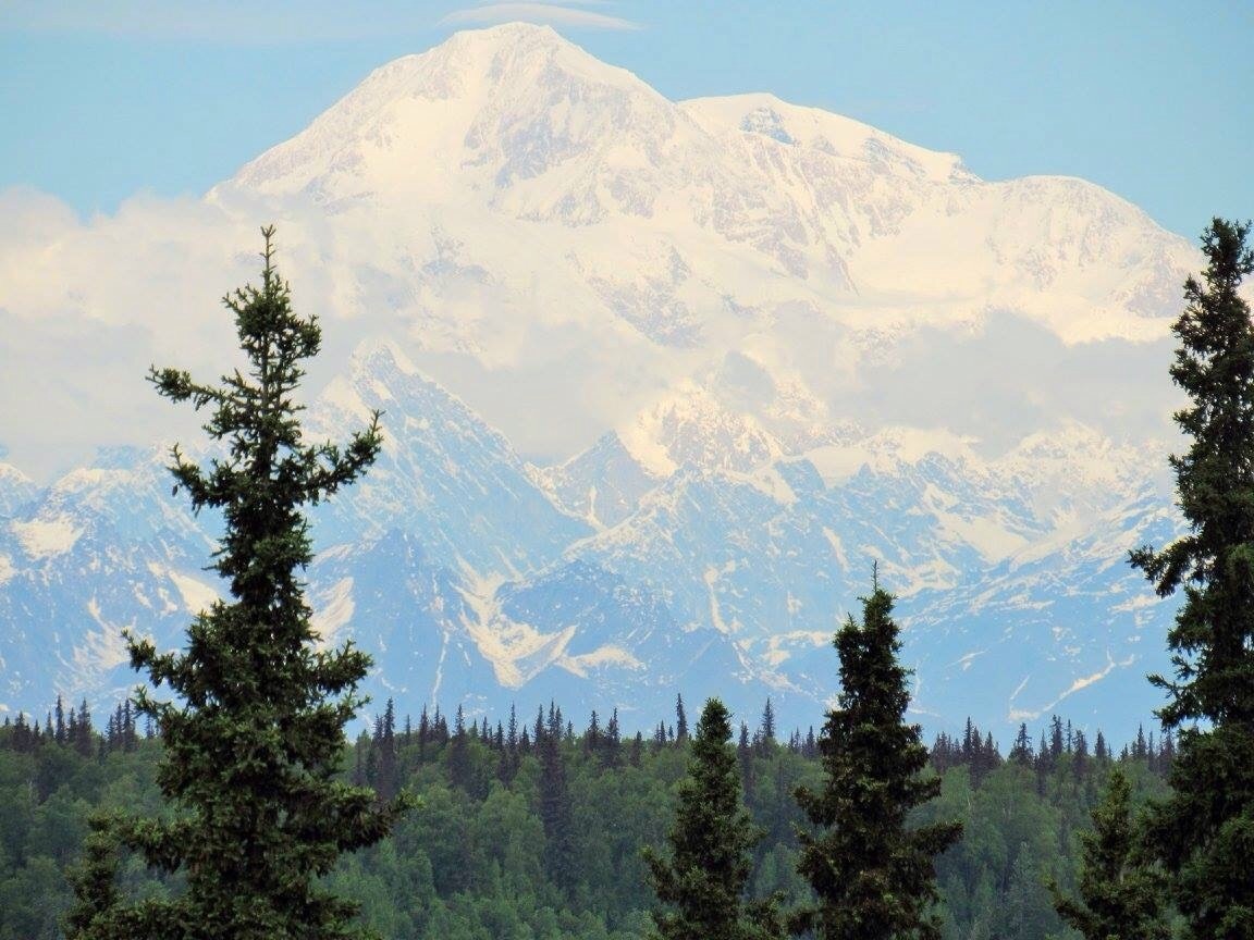 Top 20 Talkeetna, AK condo and apartment rentals from 100/night Vrbo