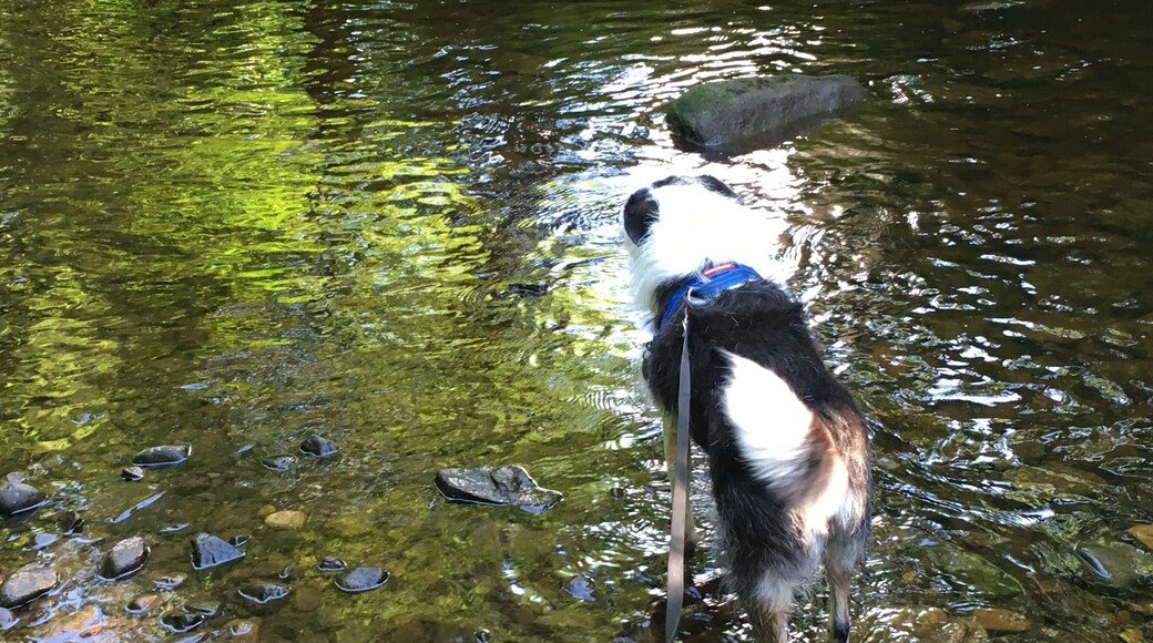 Foto por Ailsa Macleod