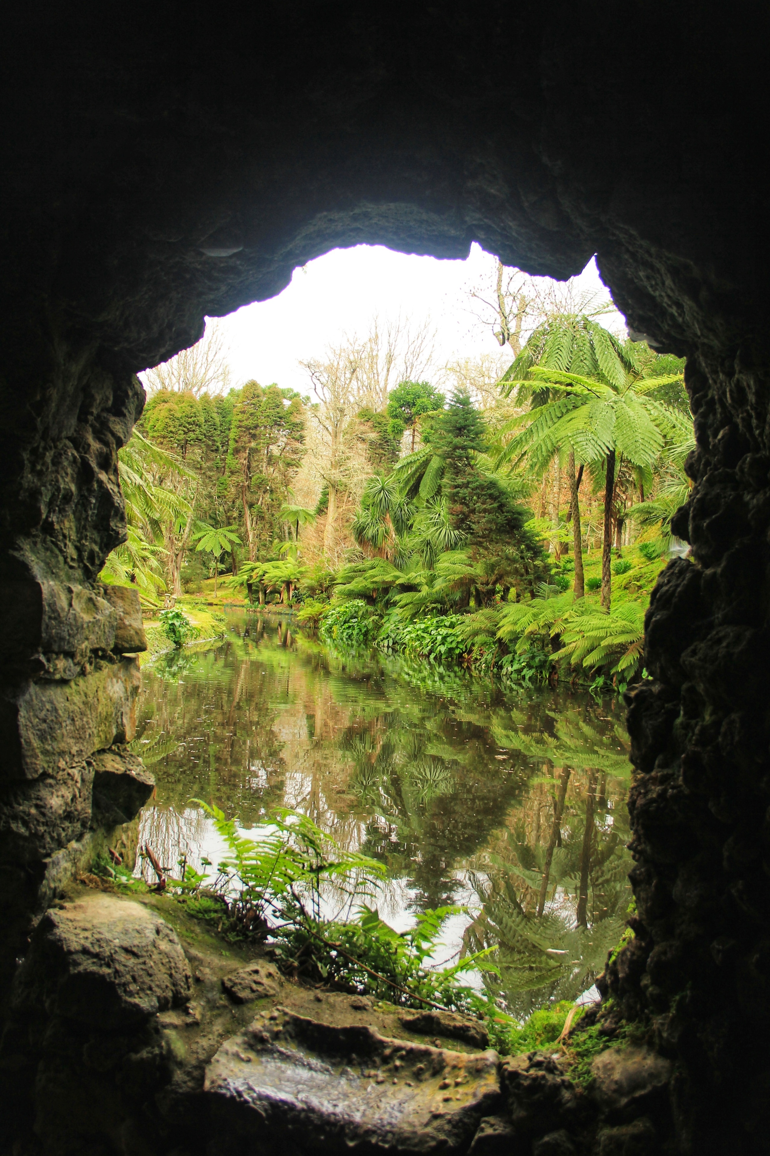 I love it when I find natural frames like this one, shot from inside a cave at Parque Terra Nostra in Furnas, São Miguel.

The beautiful garden is built over a massive 10 hectares and it would be quite easy to spend the best part of a day here. There are walking trails, waterfalls, and a massive amount of plants and flowers to photograph and enjoy. 

Definitely one of the best photo spots on the island if you're into nature and fancy yourself as a bit of a botanist 🌿🌺

You can read more about how to seek out all the best photo spots on São Miguel here:

https://galloparoundtheglobe.com/how-to-seek-out-the-best-photo-spots-on-sao-miguel-the-azores/
