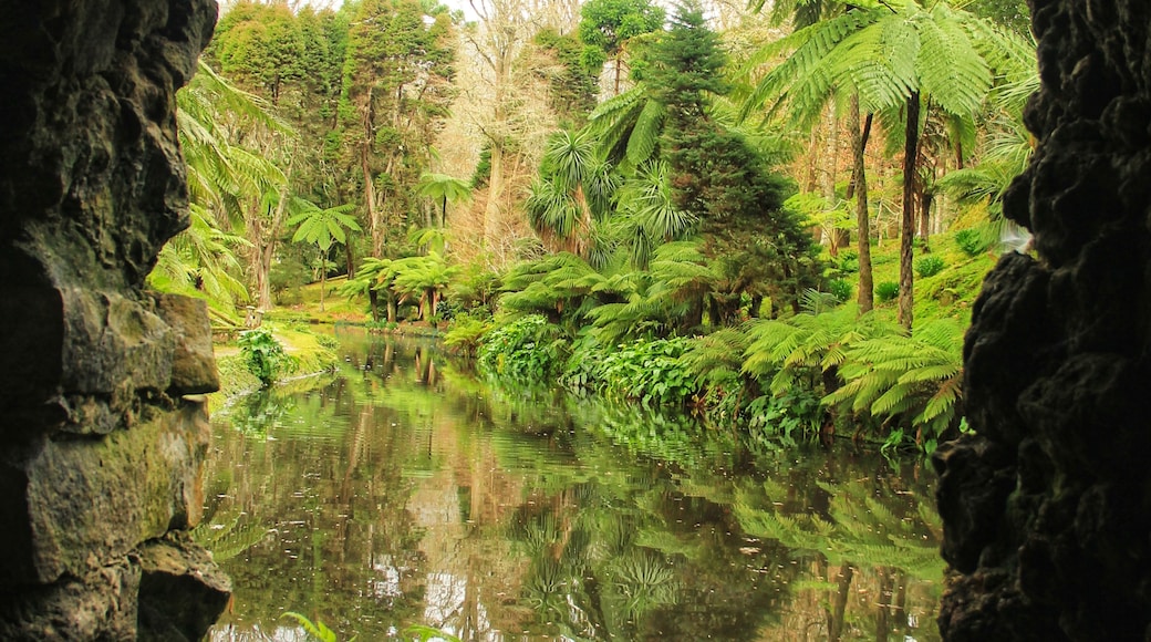 Terra Nostra Park, Povoacao, Azorerne, Portugal