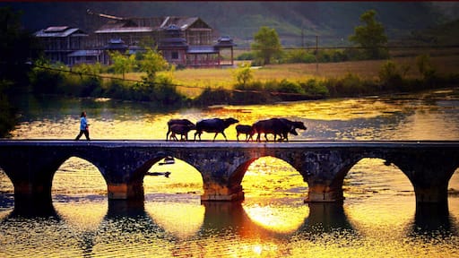 Foto van Beautiful Guangxi
