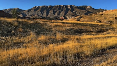 The mountains leading up to shell are gorgeous. Absolutely stunning in the golden hour. #usa #trekkingtheglobe #nature #golden #greatoutdoors #adventure