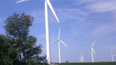 Just a glimpse of the giant wind farm that lines both sides of I-65 as far as the eye can see.