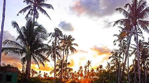 Photo by Jeff Caliso