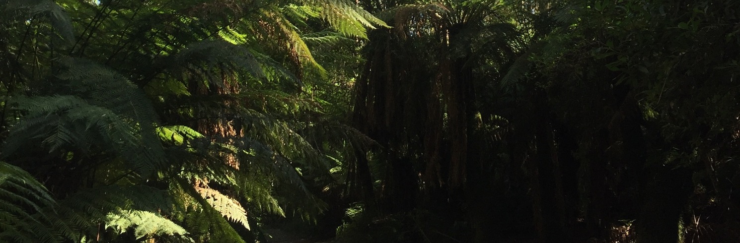 Dandenongs, Victoria, Ausztrália