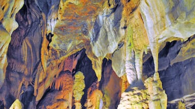 #Golden Photo Contest 

Cheddar Gorge is a limestone gorge in the Mendip Hills, near the village of Cheddar, Somerset, England. The gorge is the site of the Cheddar show caves, where Britain's oldest complete human skeleton, Cheddar Man, estimated to be over 9,000 years old, was found in 1903.