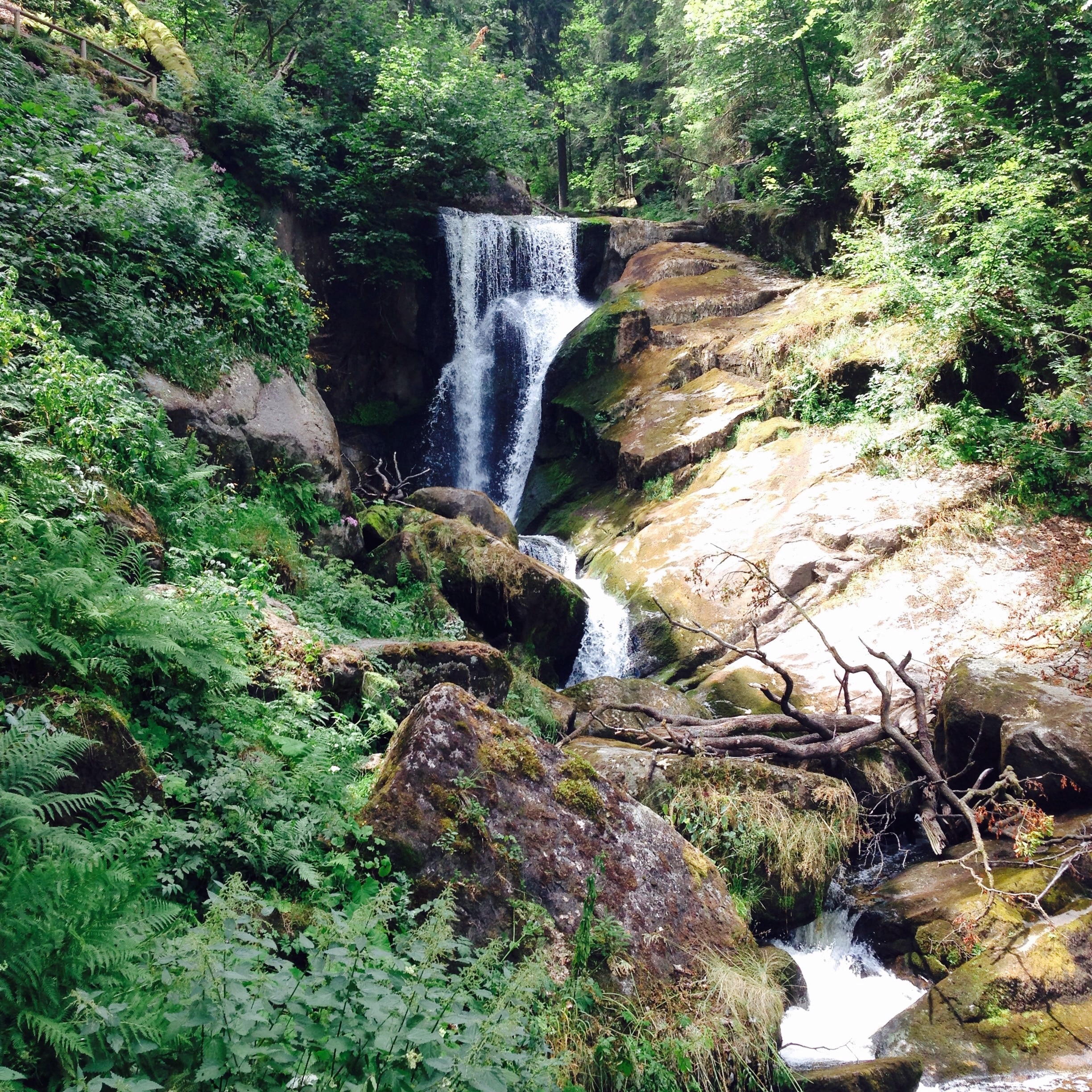 Triberg e le cascate della Foresta Nera, prezzi e cucù