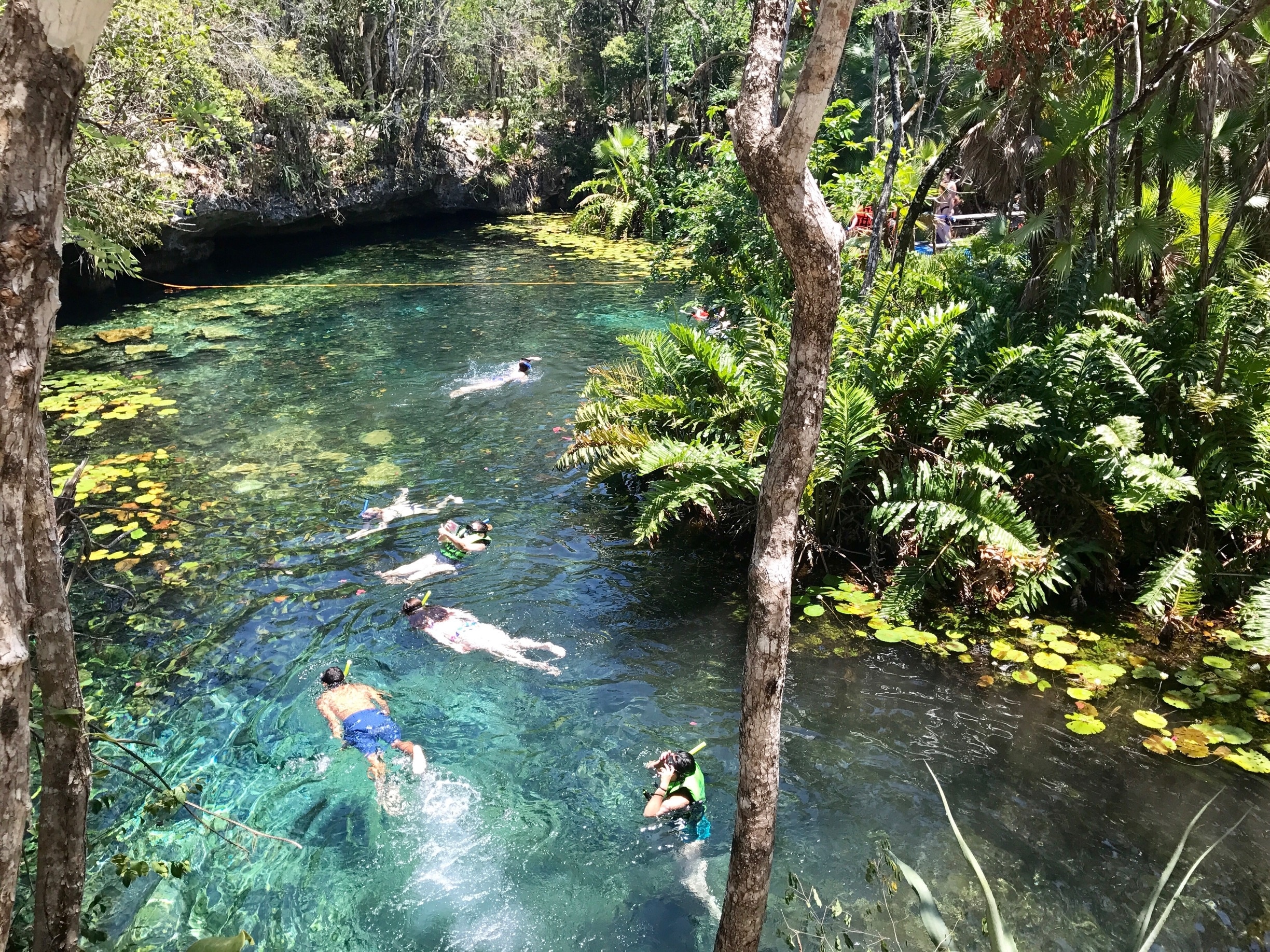 Beautiful experience snorkeling through this cenote. 