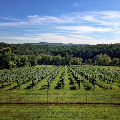 This winery is fairly new. I think they need a few more years to establish their wine selection. However the wines weren't terrible. I've just had better in this area. But the view from the upper deck is amazing. Definitely worth checking out if you are in the area. Staff is very friendly and knowledgeable. And their sangria was great! #drinkvirginiawine
#winesnob #virginia
#winery #canavineyard
#outdoors