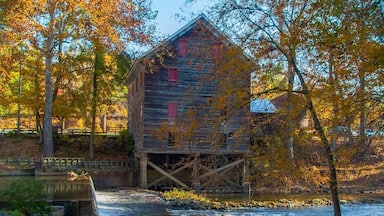 This is a great place to spend an afternoon and get a bit of history at the same time. Lots of trails around it and you can go inside the mill and see how it worked. The covered bridge next to it is one of the oldest in the state.