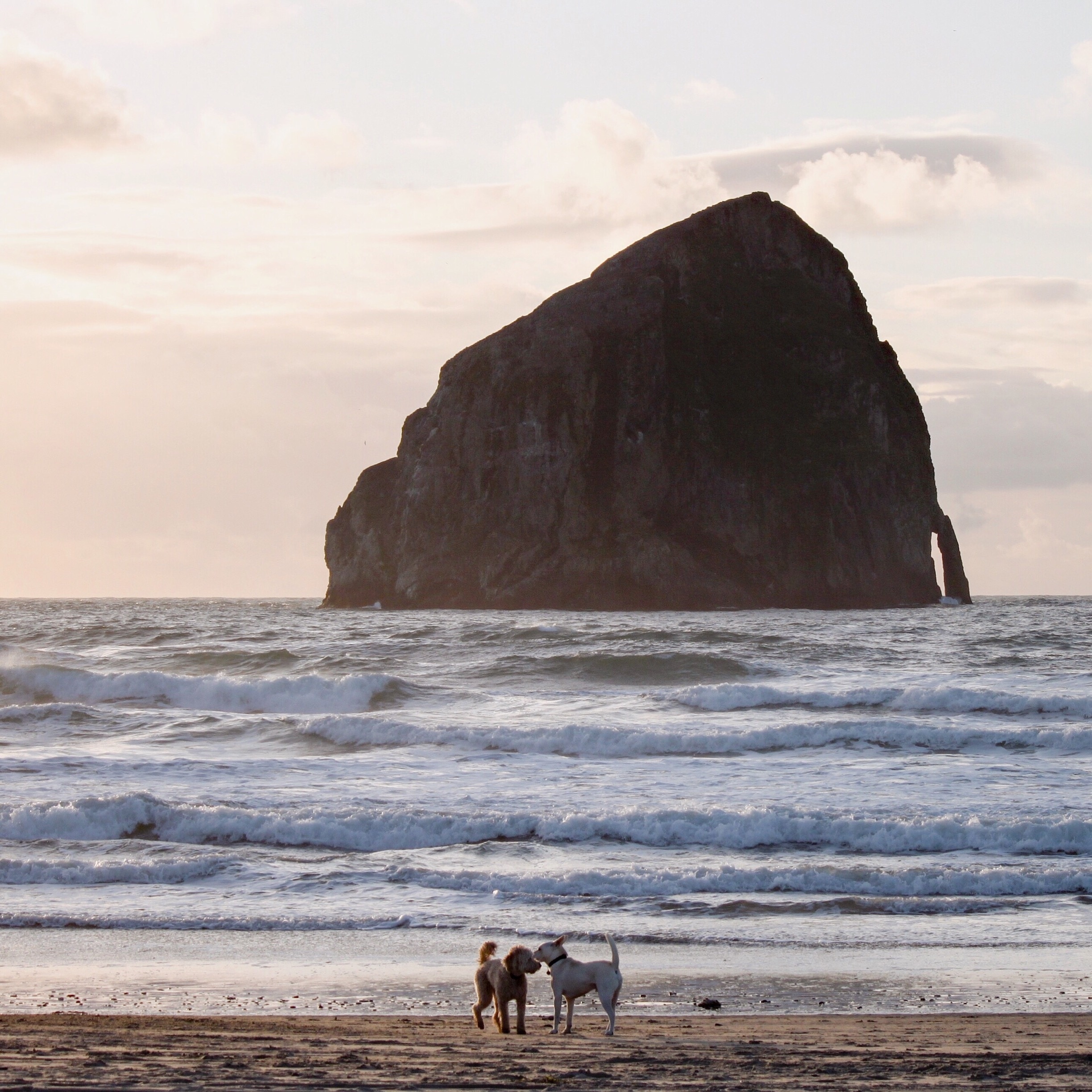 Pacific City, OR Vacation Rentals house rentals & more Vrbo