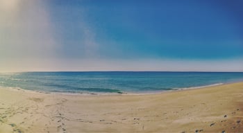 Whole beach to ourselves! The beach in Faro is often overlooked in favour of the other beaches along the Algarve, making it quiet and unspoilt. Close to the airport, it's definitely worth a visit!