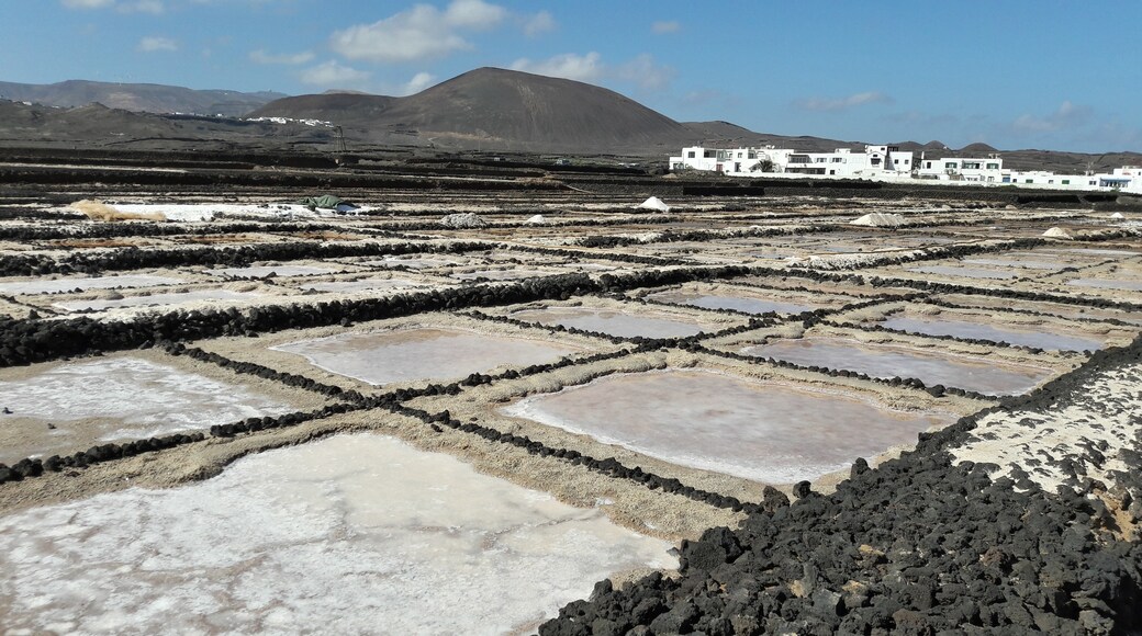 Los Cocoteros, Teguise, Canary Islands, Spain