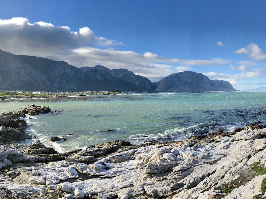 A beautiful stop off on the Garden Route and a great place to see penguins up close ❤️🐧
#blue
