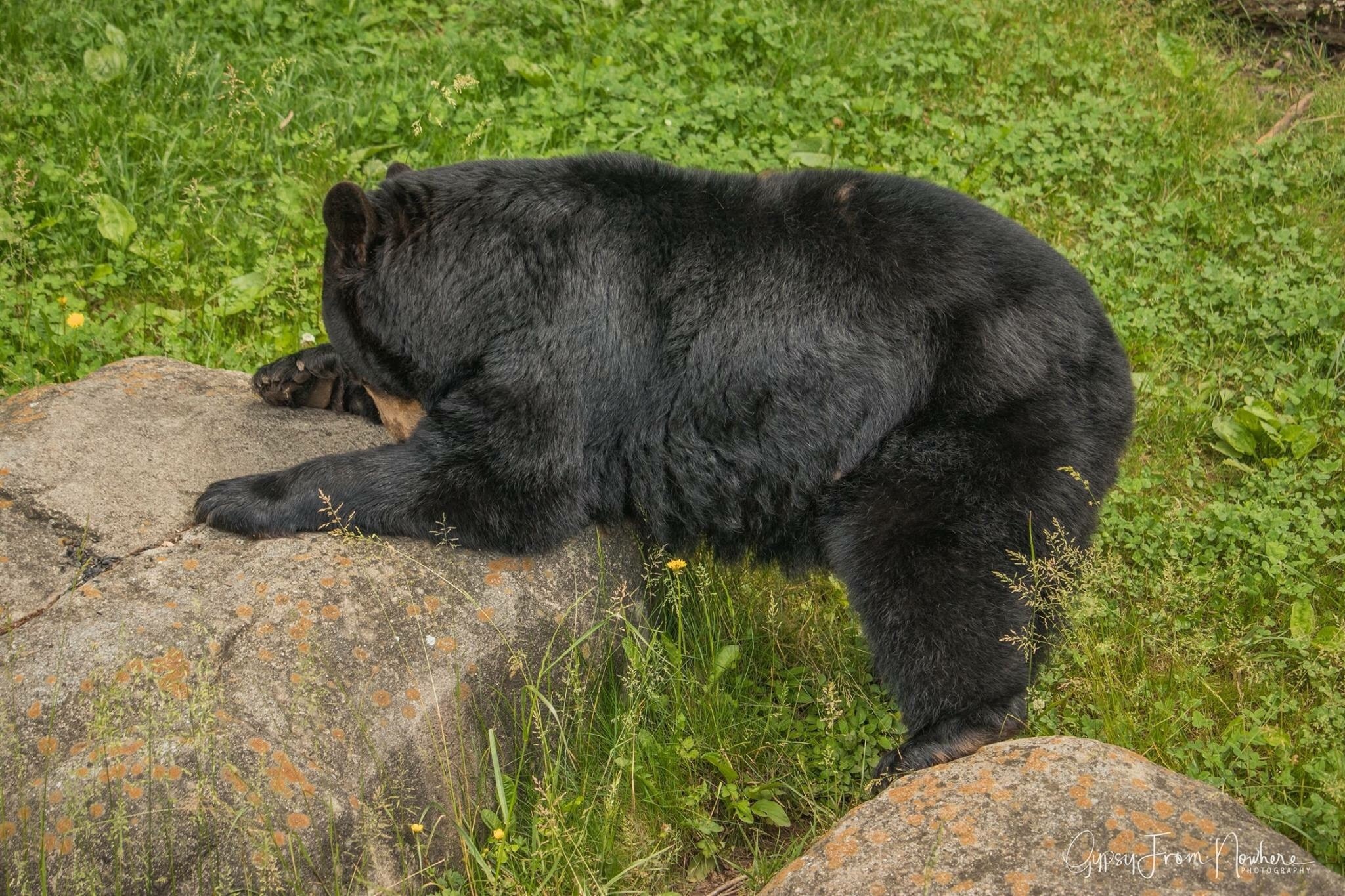 Guía Turística de Copper Hill Qué visitar en Copper Hill, Virginia