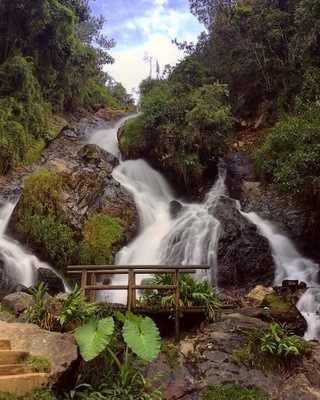 #Nature
A very beautiful feature to a great restaurant