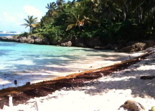 Las Galeras, Dominikanische Republik