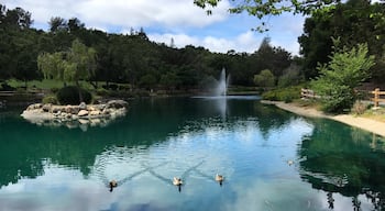 A tranquil lake to take a break. 