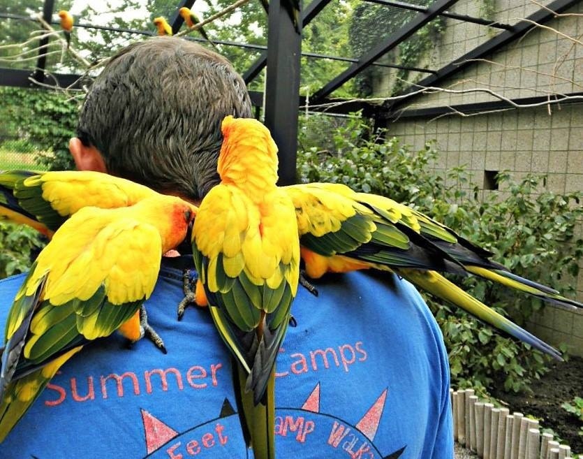One of the best aviaries I've been to! Located in Liberty Park, don't miss a chance to get up close and personal with their bird encounters and amazing bird shows! 