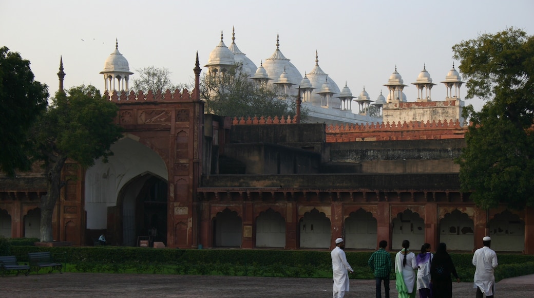 Moti Masjid, Agra, Uttar Pradesh, India