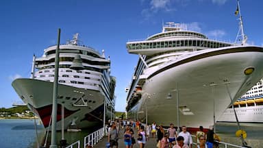 Cruisers at port