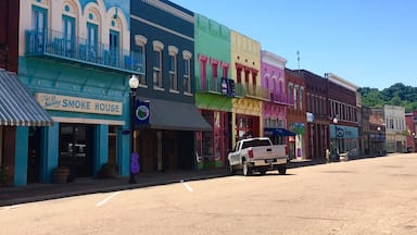 Driving through Mississippi, I had a chance to stop at Yazoo City! I instantly regretted traveling on a holiday because the downtown area looked like so much fun but everything was closed. The building are painted in bright colors and there are plywood guitars with different designs painted on them all along both sides of the road. 
There’s also a children’s area where a mural has been painted. 