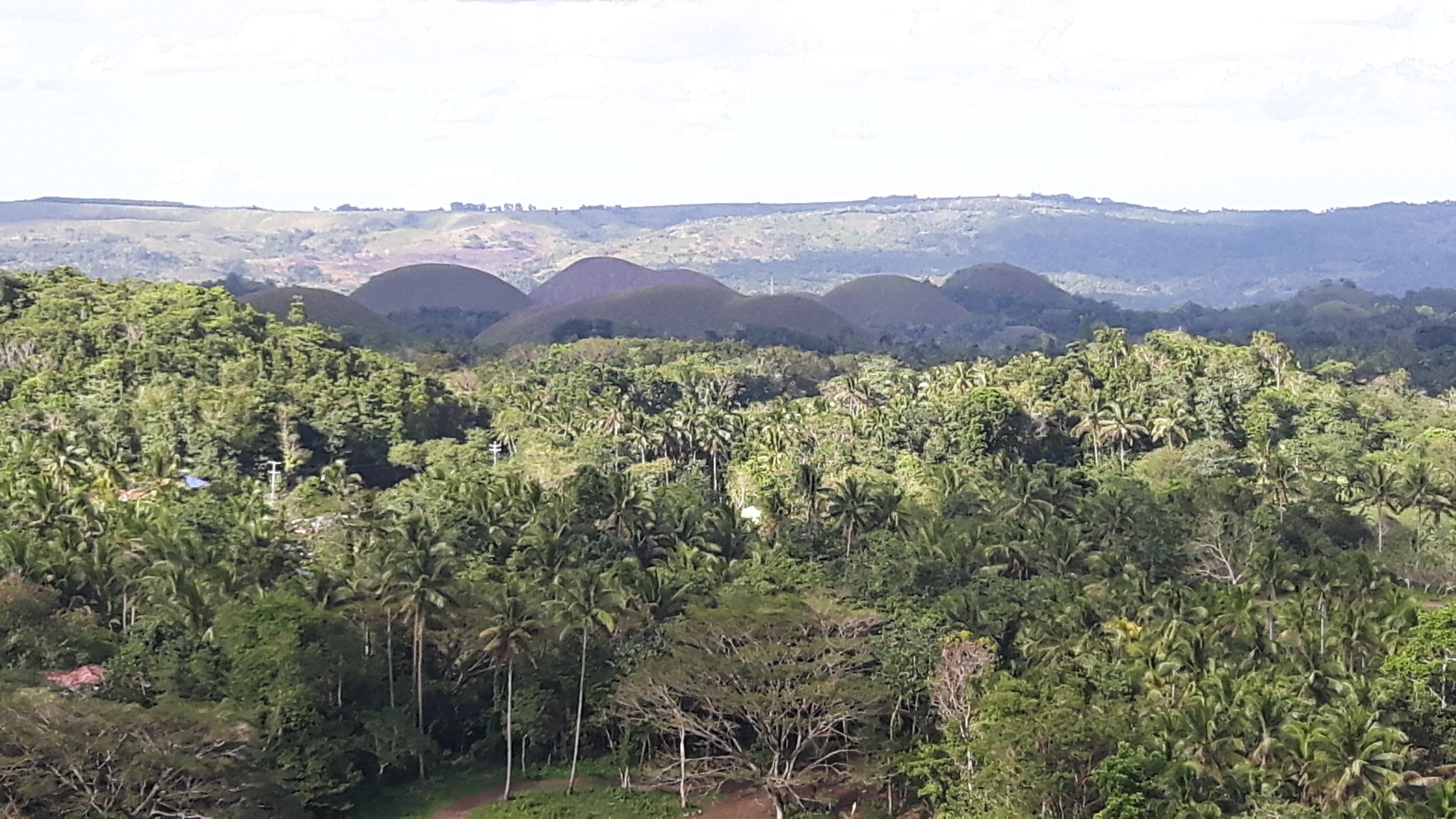 The Chocolate Hills in The Philippines Is Your Next Travel Destination -  Visit The Chocolate Hills