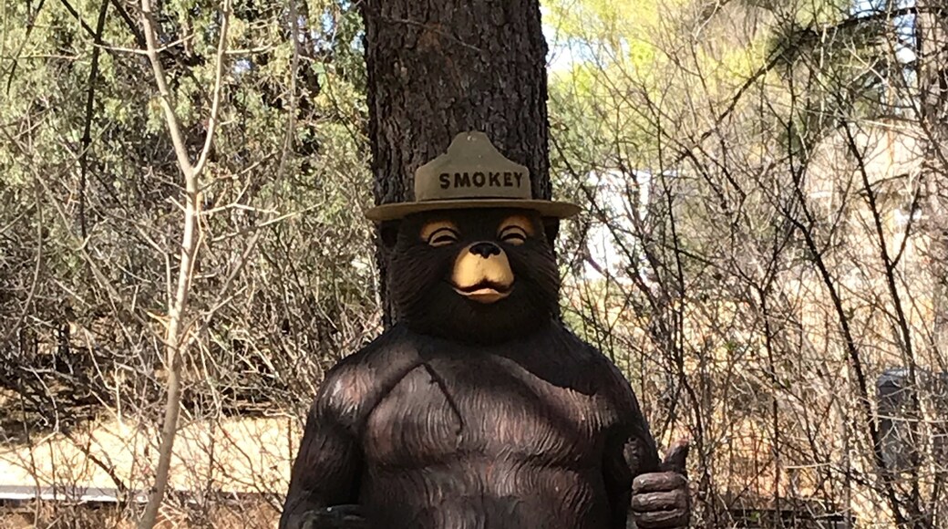 Smokey Bear Historical Park, Capitan, New Mexico, United States of America