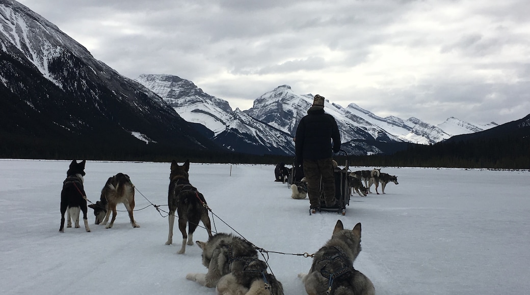 Foto por The Camangian's