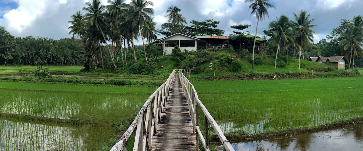 Restaurant within the padi field