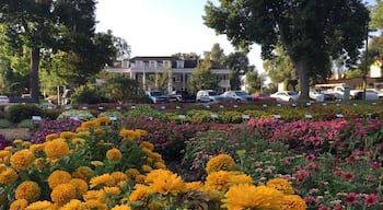 The CSU Annual Flower Trial Garden is most beautiful between July and September. With hundreds of verities of flowers on display. It is a feast for your eyes.

#LifeAtExpediaGroup
