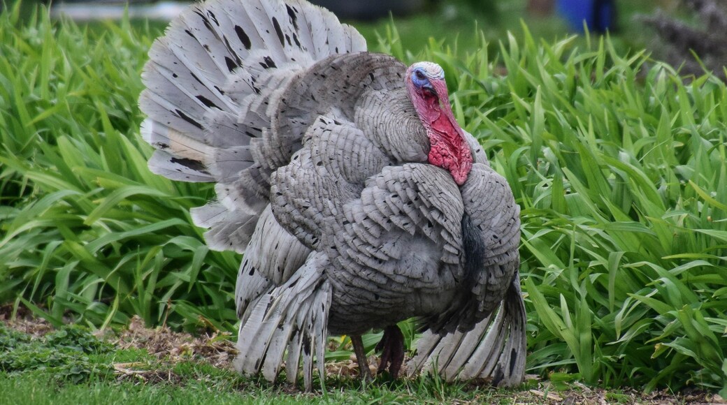 Photo by Stephanie Rickman