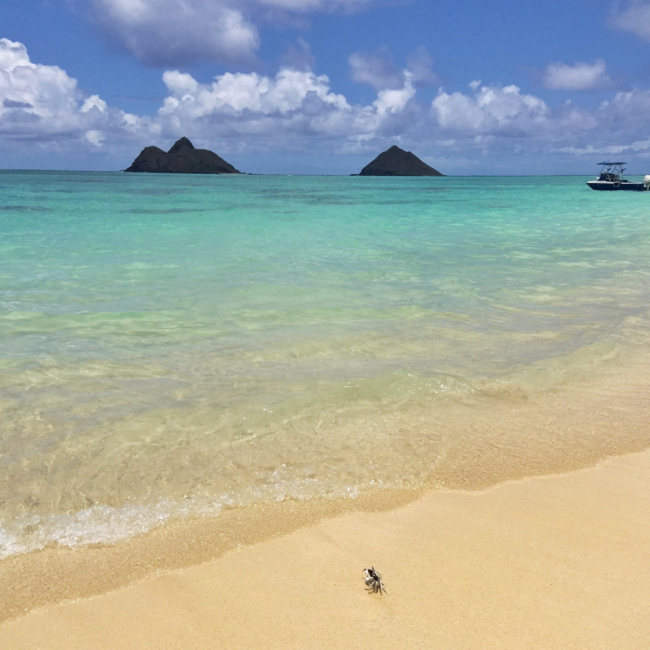【kailuabeach】 NOYES RelaxedSofa\r
… LANIKAI BEACH (2025) All You MUST Know Before You Go (w