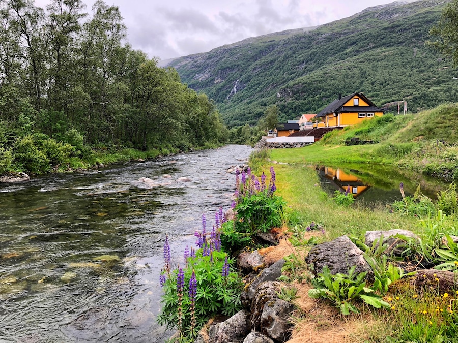 The Røldal skicenter in the Hordadal valley is famous for receiving the most snowfall of any populated area in Norway.
#Roldal #Norway #ski #Nature