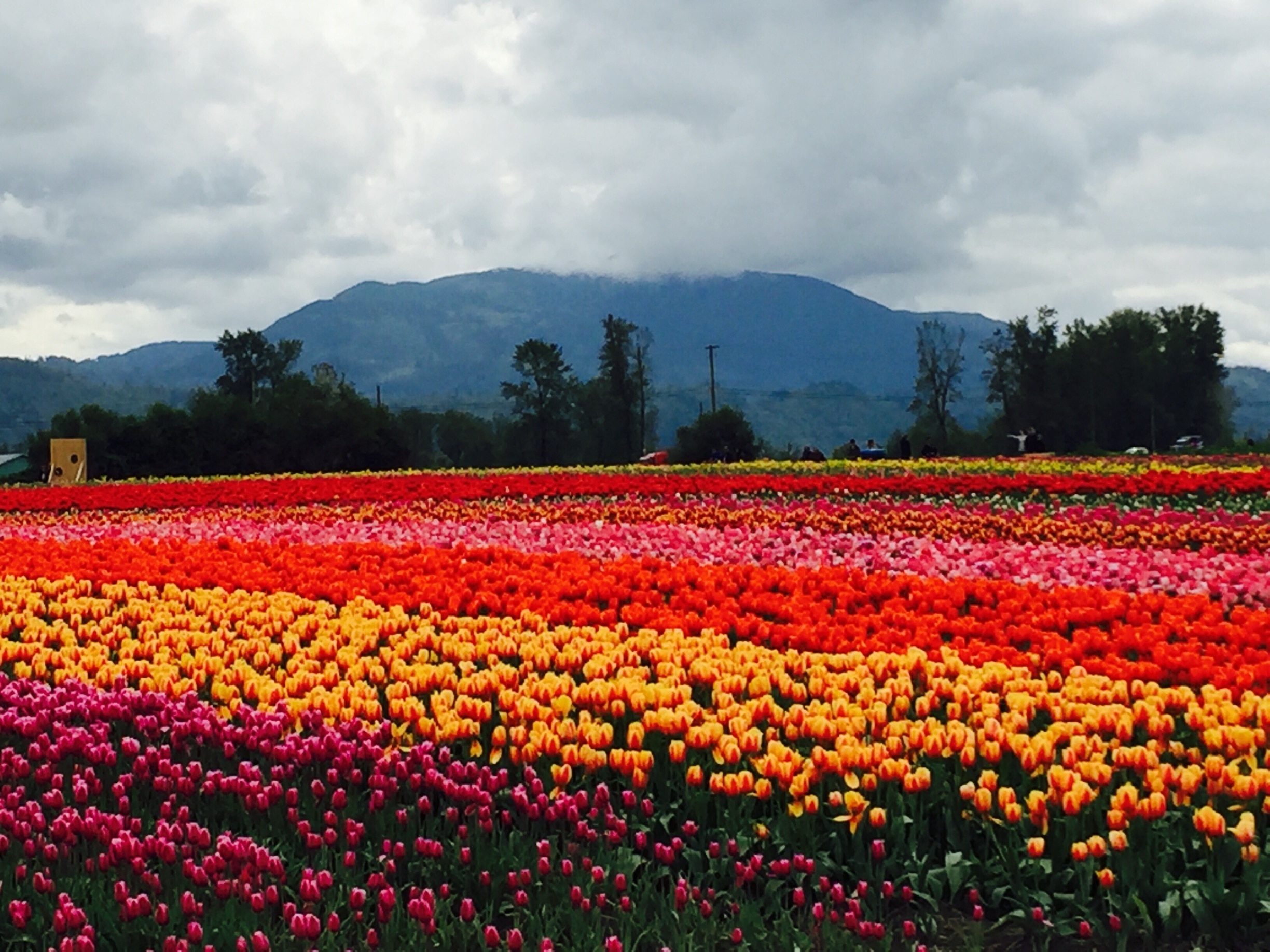 Visit Abbotsford 2023 Travel Guide for Abbotsford, British Columbia